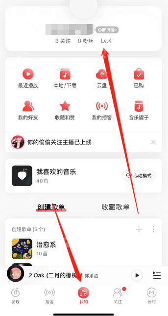 网易云音乐等级在哪看