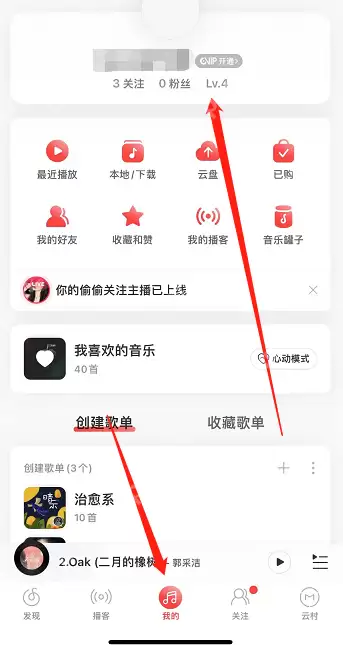 网易云音乐等级在哪看