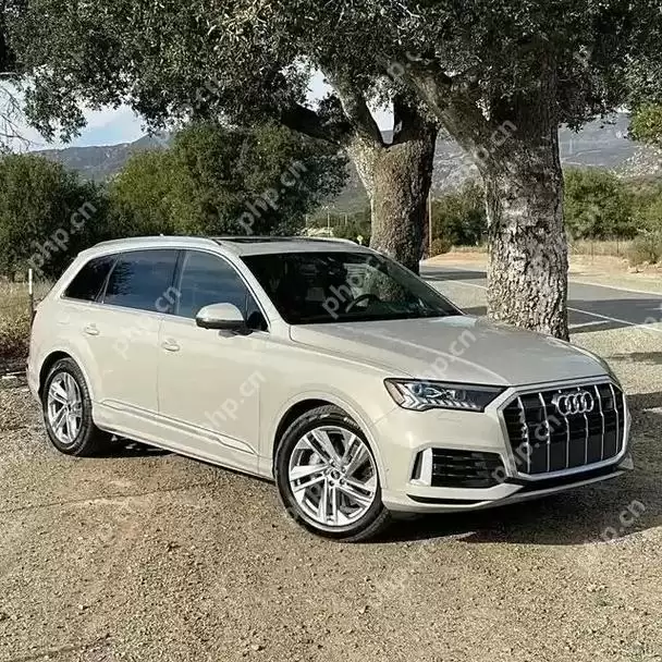 如何判断你的Q7是否有电动腿托？附配置查询方法