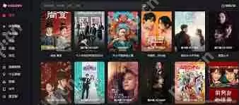 免费大片在线观看网站有哪些