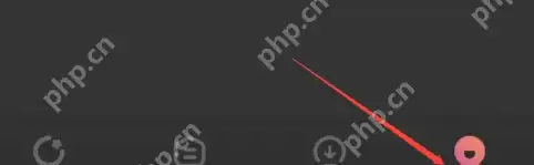 番茄电影怎么查看版本号 番茄电影查看版本号