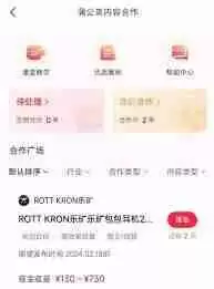 小红书如何实现变现