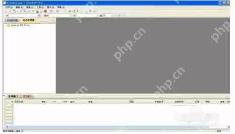 CuteFTP怎么设置？CuteFTP简单设置操作步骤分享