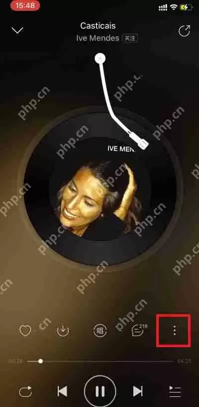 苹果手机网易云音乐桌面歌词怎么设置