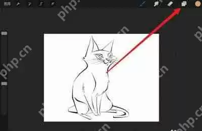 Procreate怎么填色不覆盖线稿