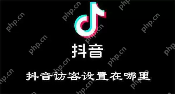 抖音访客设置在哪里