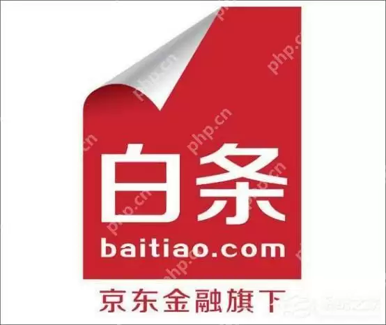 怎样在京东白条上看借了多少钱 京东白条借款查询方法