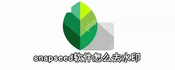 snapseed软件如何去水印_snapseed除水印步骤一览