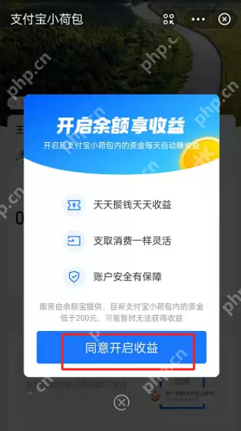 支付宝小荷包余额享收益功能怎么开启