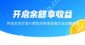 支付宝小荷包余额享收益功能怎么开启