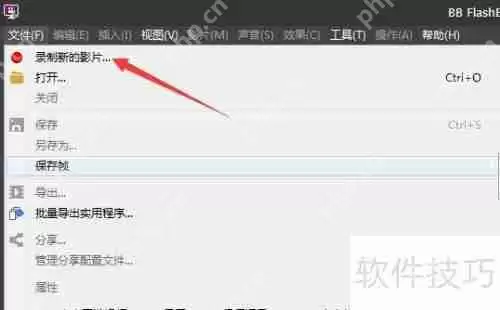 BB FlashBack录像机从摄像头捕获视频帧数教程