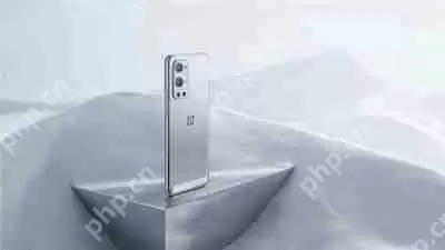 一加9有什么颜色