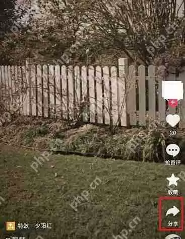 《抖音》合拍视频全流程教程