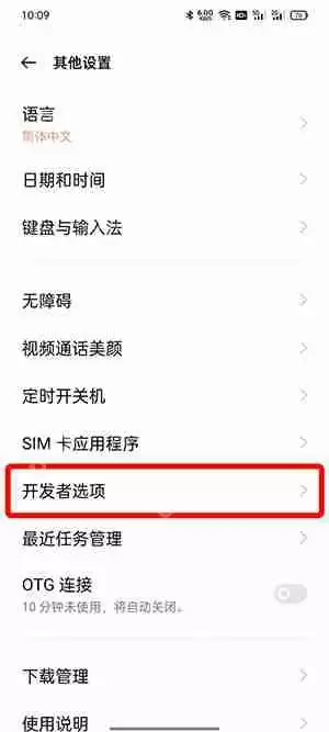 开发者选项在哪里打开