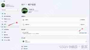 win11如何取消登录账户