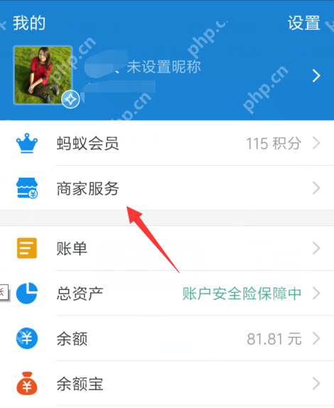 在支付宝里怎么将商家服务开通？将商家服务开通的方法说明