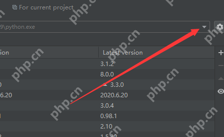 PyCharm怎么设置编译器？PyCharm设置编译器的方法