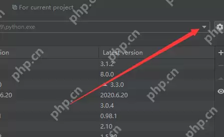 PyCharm怎么设置编译器？PyCharm设置编译器的方法