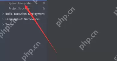 PyCharm怎么设置编译器？PyCharm设置编译器的方法