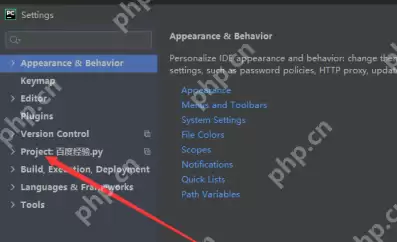 PyCharm怎么设置编译器？PyCharm设置编译器的方法