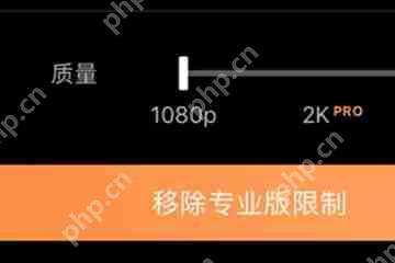 pixaloop怎么解除限制？解除限制的方法说明
