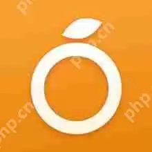 在香橙里怎么咨询专家？咨询专家的操作流程一览