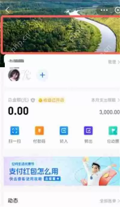 支付宝小荷包怎么更换背景