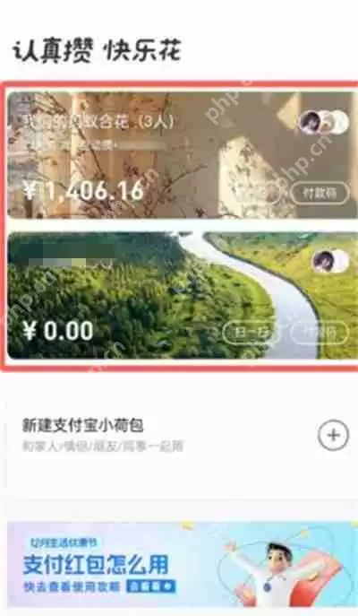 支付宝小荷包怎么更换背景