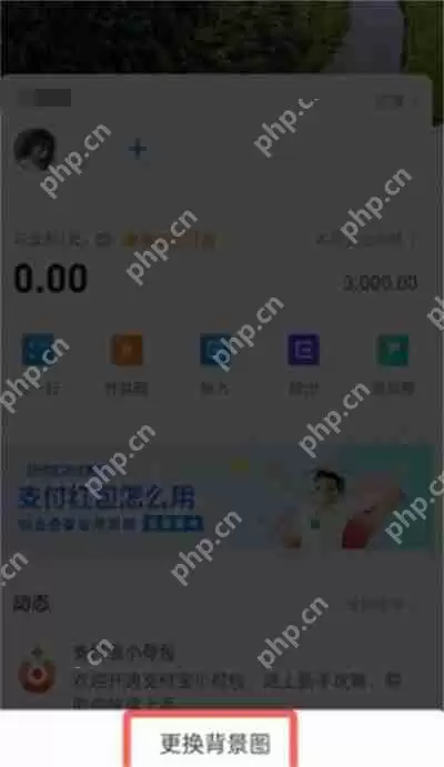 支付宝小荷包怎么更换背景