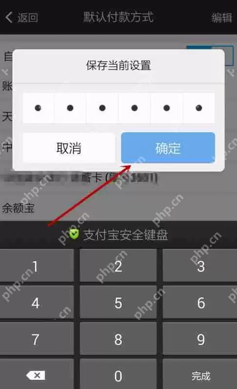支付宝APP怎么设置默认支付方式？设置默认支付方式的步骤一览
