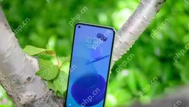 小米11青春版手机指纹解锁方式是什么