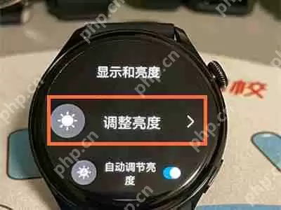 华为gt3亮度怎么调节