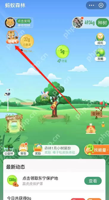 支付宝东宁保护地怎么领