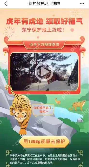 支付宝东宁保护地怎么领