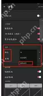 painter如何翻转画布