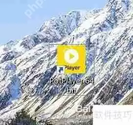 PotPlayer摄像头输出配置为捕获属性值的方法