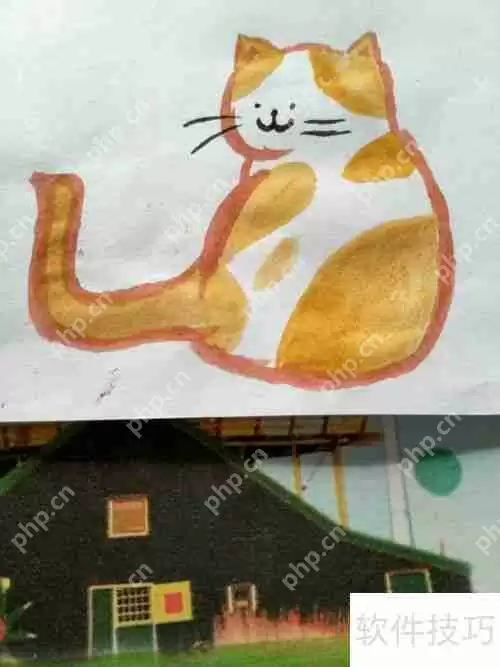 网红橘猫水粉画教程：一步一步教你画出可爱猫咪