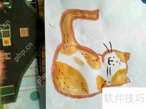 网红橘猫水粉画教程：一步一步教你画出可爱猫咪
