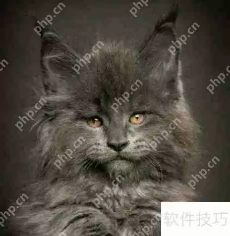 训练猫咪小技巧：当猫犯错时该怎么办？