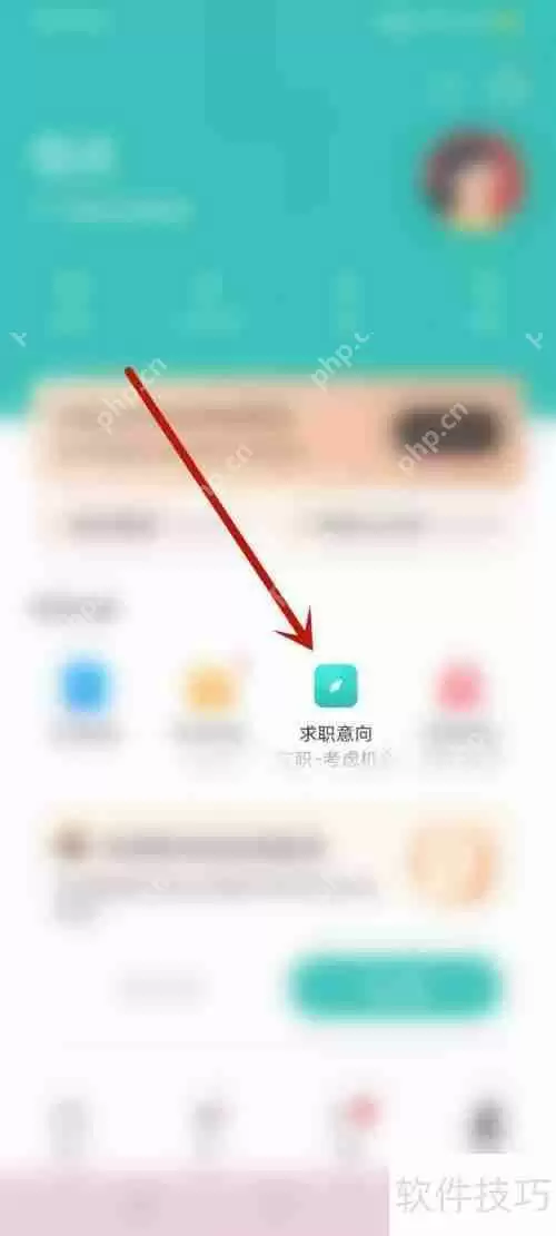 网络清道夫：如何成功应聘与职业发展