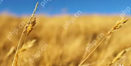 美图看看如何使用播放幻灯片？美图看看播放幻灯片使用方法解析