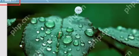 美图看看如何使用播放幻灯片？美图看看播放幻灯片使用方法解析