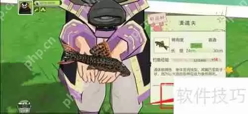 清道夫获取指南：简单易行的方法