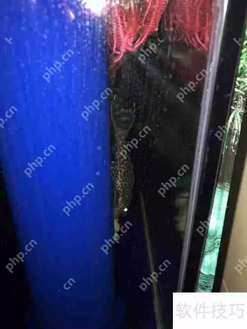 揭秘：清道夫真的能吃吗？带你了解真相