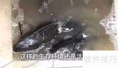 揭秘：清道夫真的能吃吗？带你了解真相