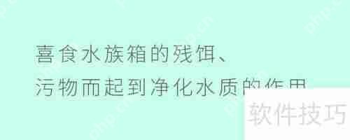 你了解清道夫的利用价值吗？