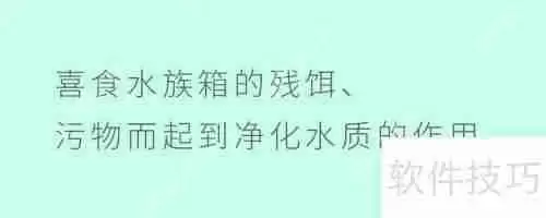 你了解清道夫的利用价值吗？