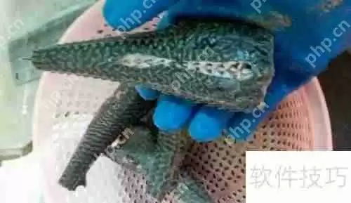 揭秘清道夫：它们到底吃什么？