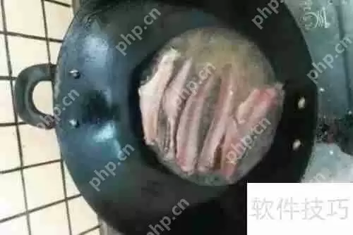 揭秘清道夫：它们到底吃什么？