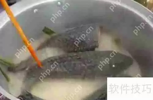 清道夫怎么吃：美味与健康的完美结合